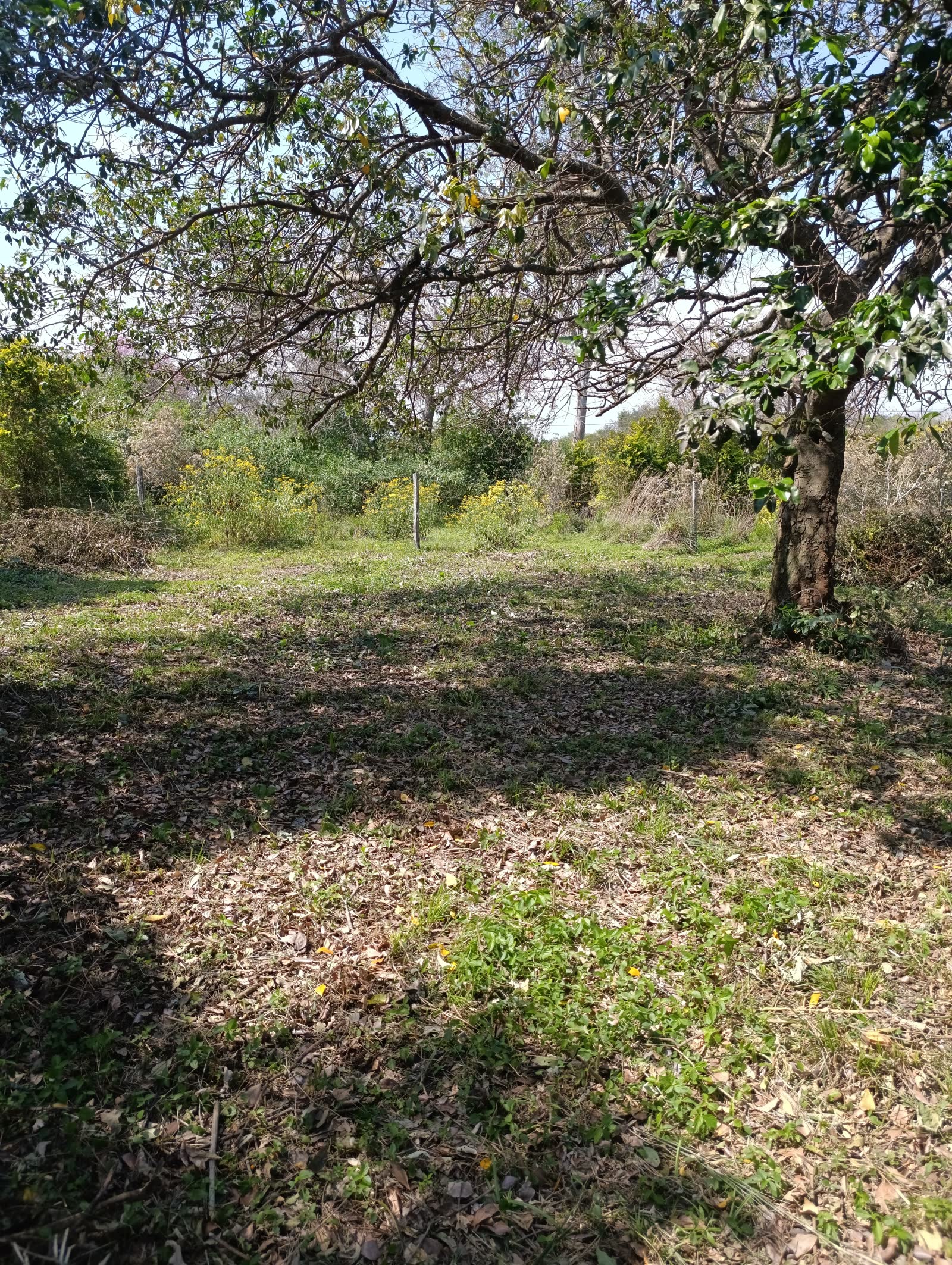 Foto real del terreno Emboscada: emboscada-02