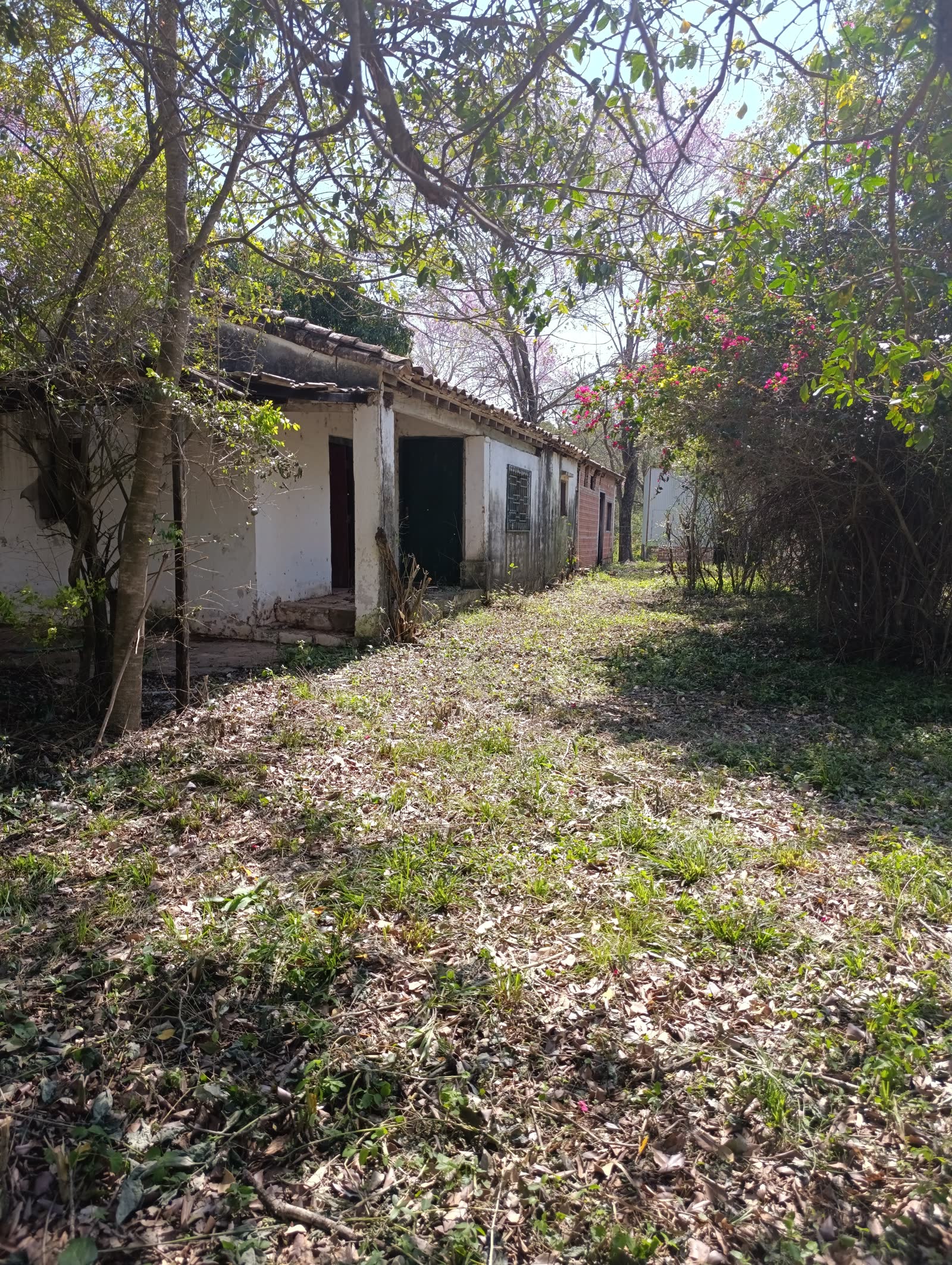 Foto real del terreno Emboscada: emboscada-03