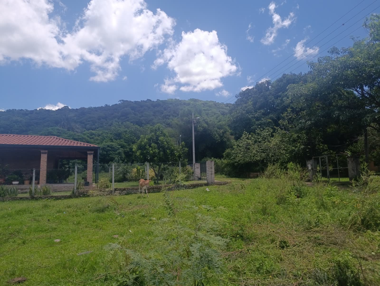 Foto real del terreno Pirayú: pirayu-01