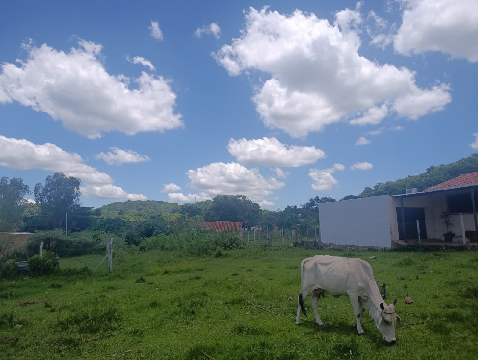 Foto real del terreno Pirayú: pirayu-02