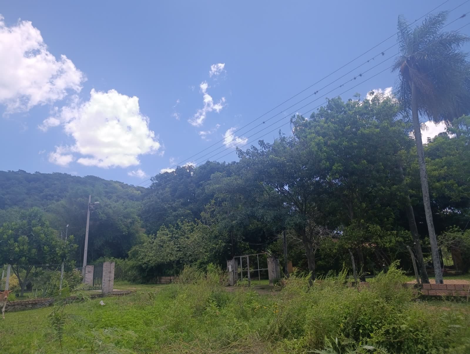 Foto real del terreno Pirayú: pirayu-04