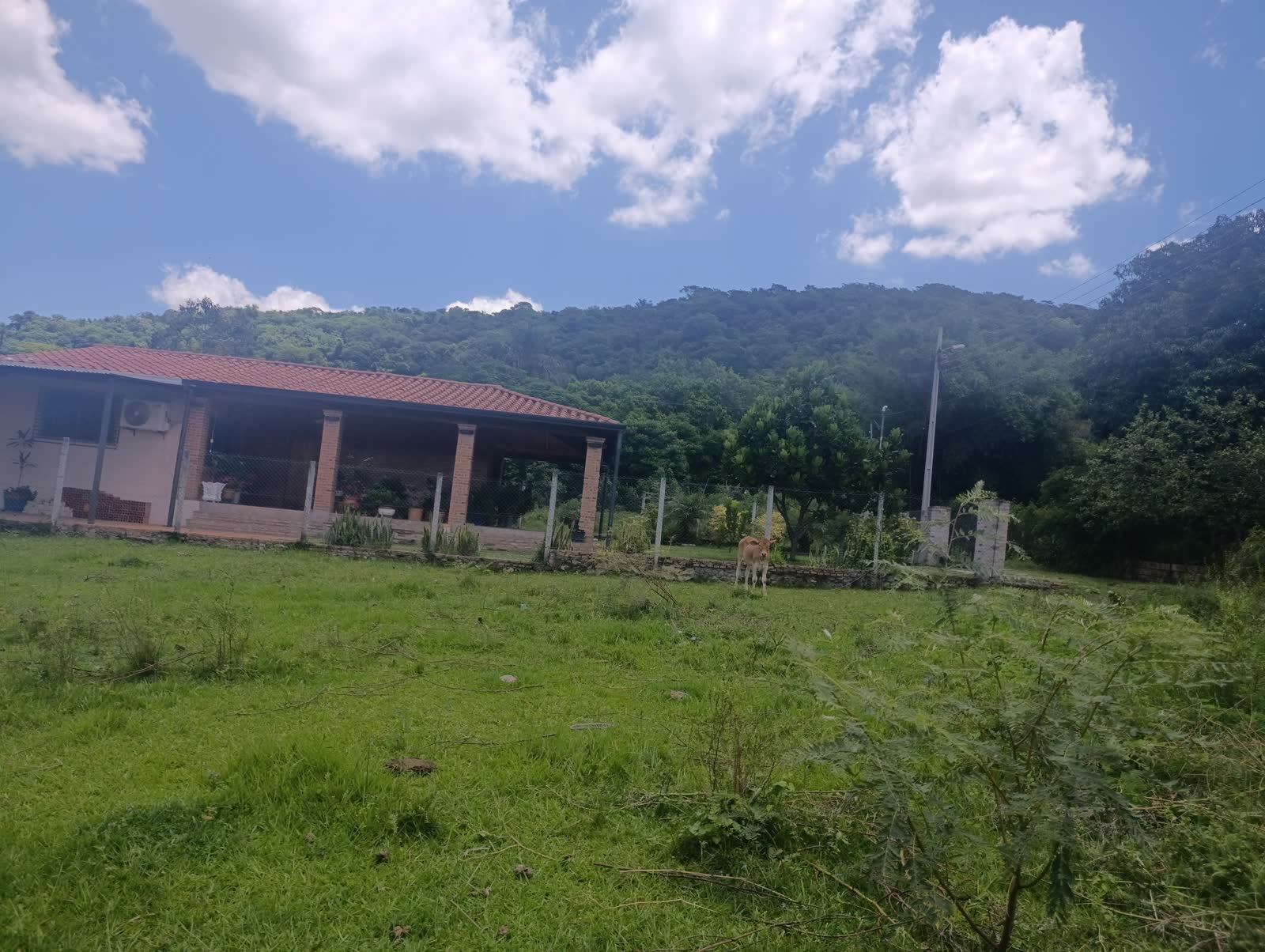 Foto real del terreno Pirayú: pirayu-05